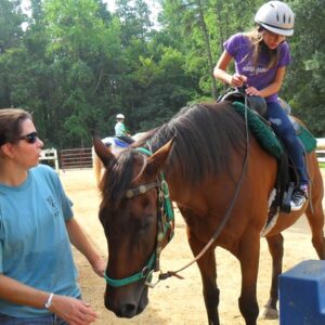 A little girl gets ready to dismount from a brown horse.