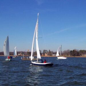 A series of small sail boats float in very blue water.
