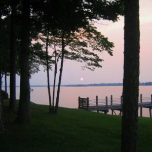 Green lush grass leads down to water that looks orange in the sunset.