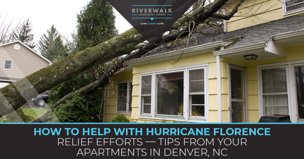 "How to help with hurricane florence relief efforts." Blog banner.