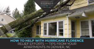 "How to help with hurricane florence relief efforts." Blog banner.