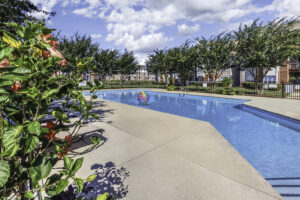 A picture of the beautiful, tree-lined pool at the Riverwalk Apartments