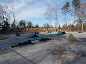 A small dog training park at Riverwalk Apartments.