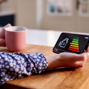 energy efficiency