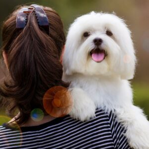 woman with dog