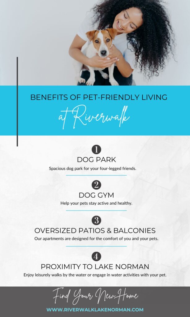 infographic summarizing blog